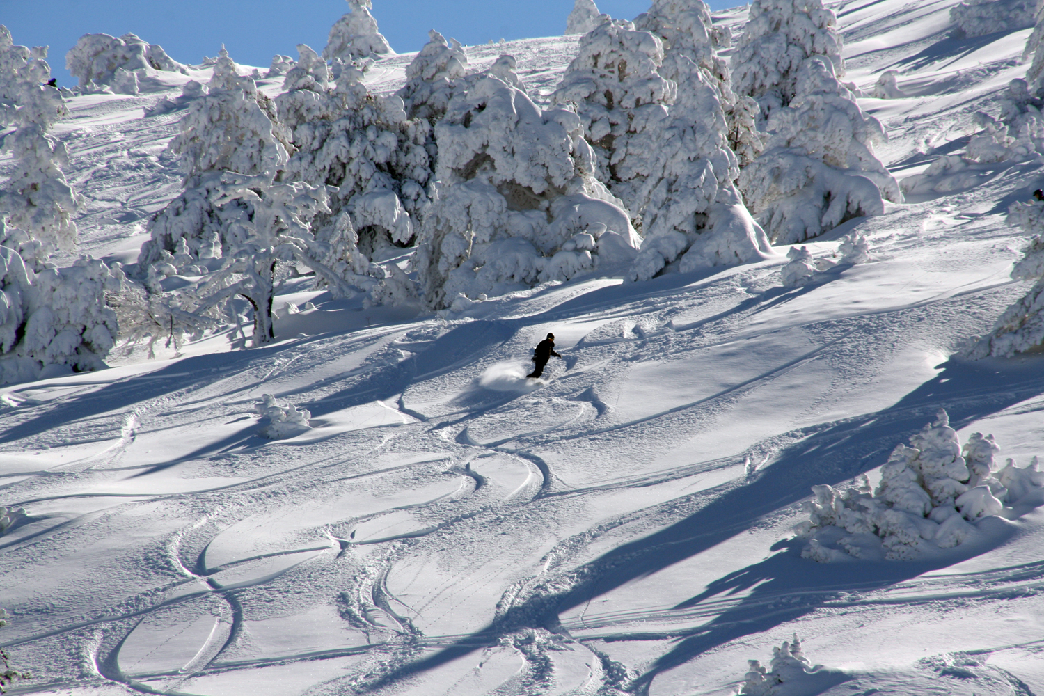 Javalambre 02 03 2013 snowboarder disfrutando de la nieve