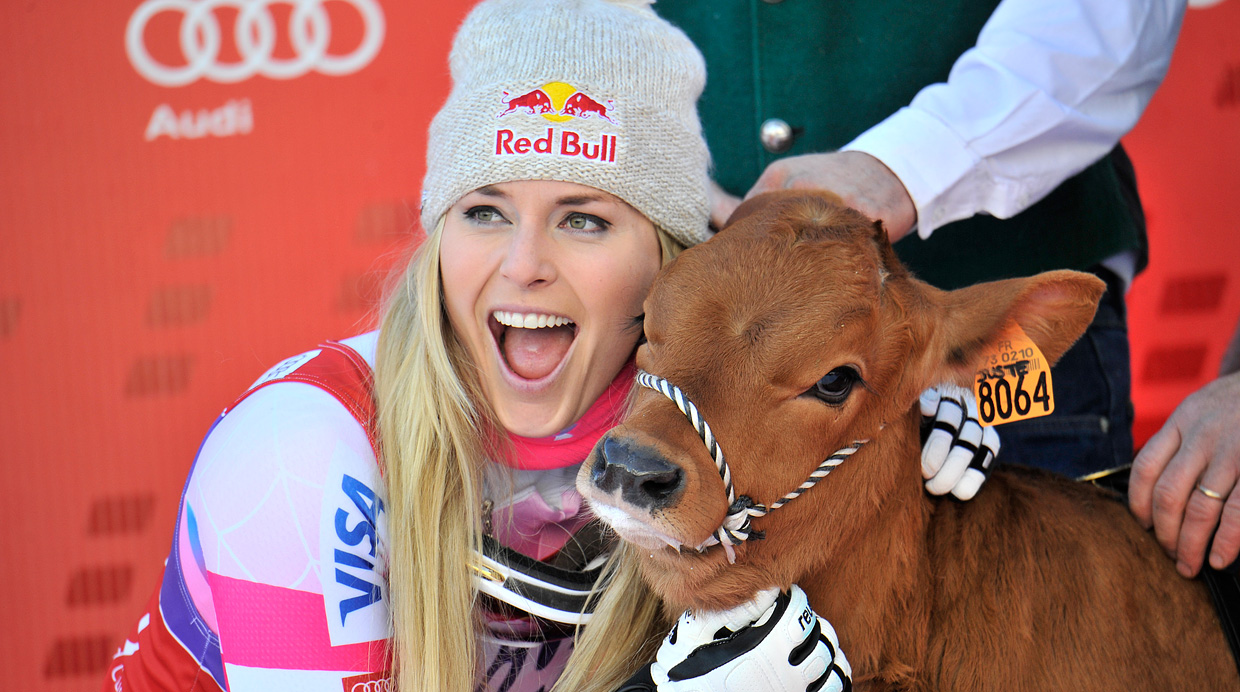 Lindsey Vonn y su vaca