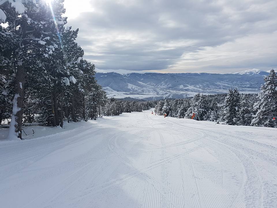 font romeu