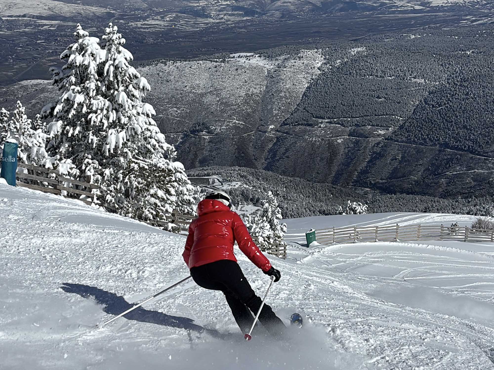 masella
