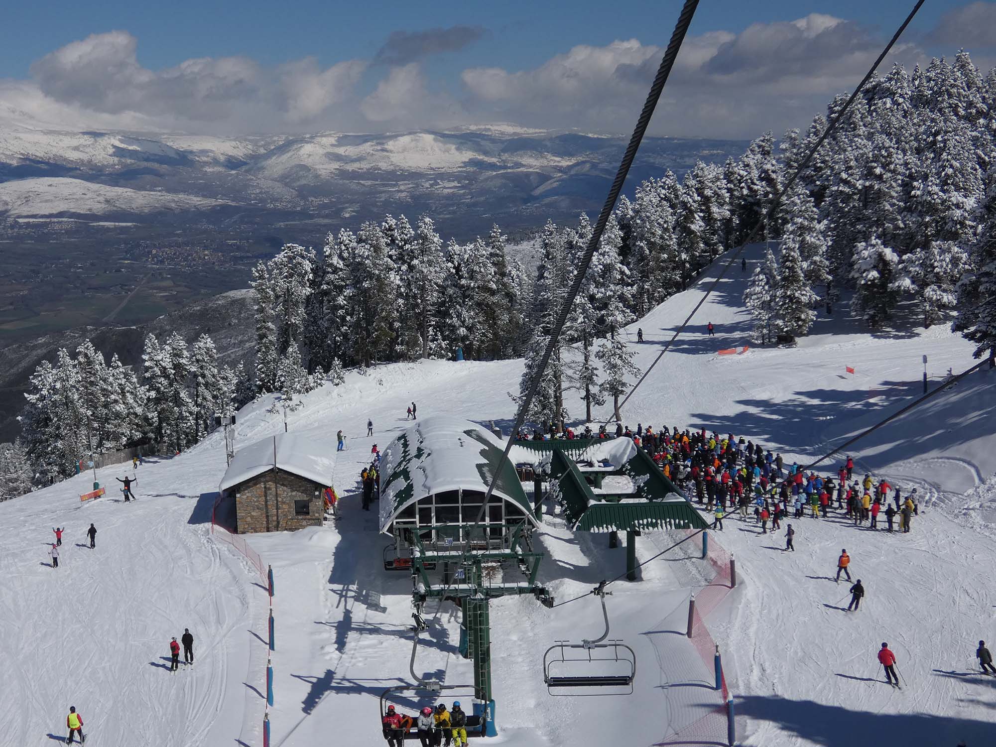 masella