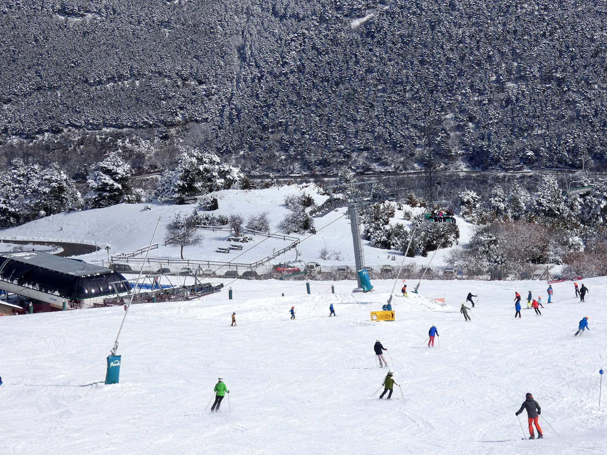 masella