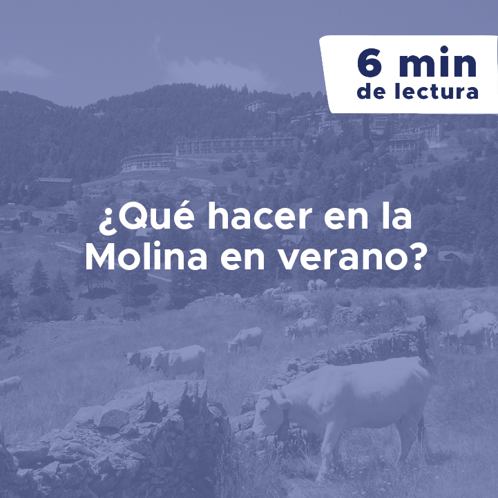 qué hacer molina verano