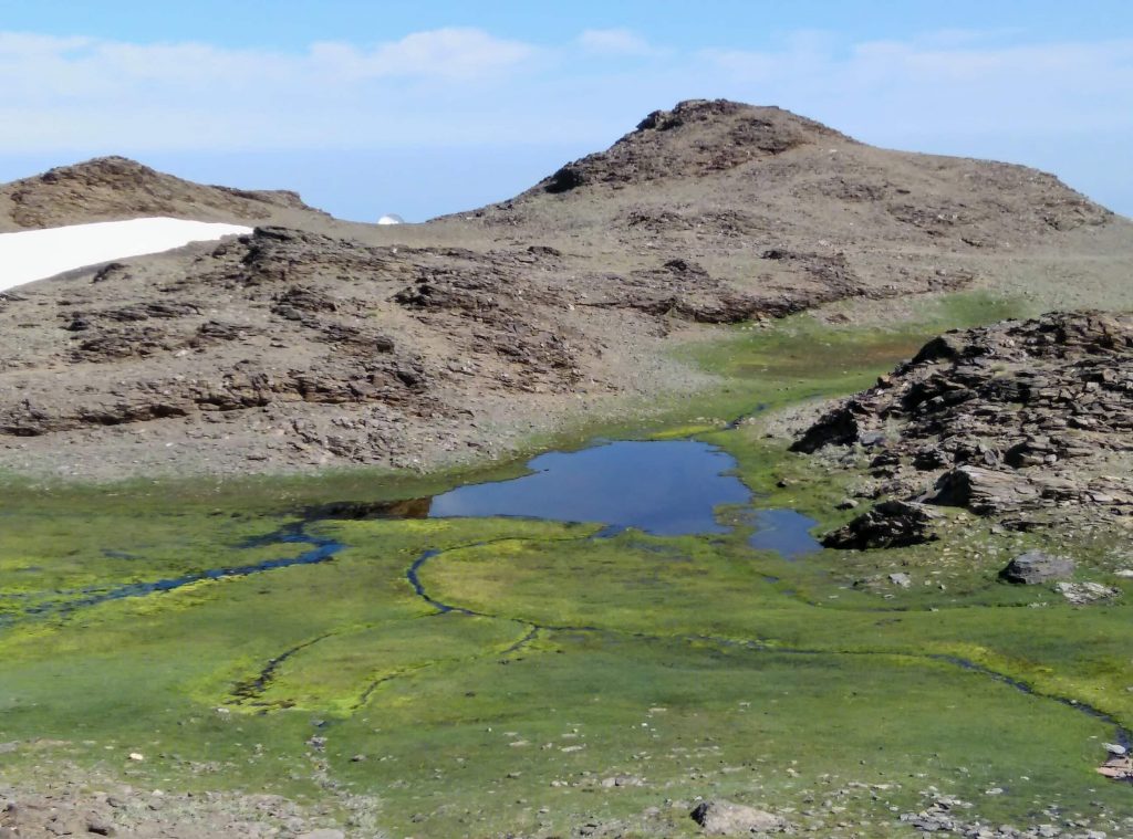 Laguna de las Yeguas