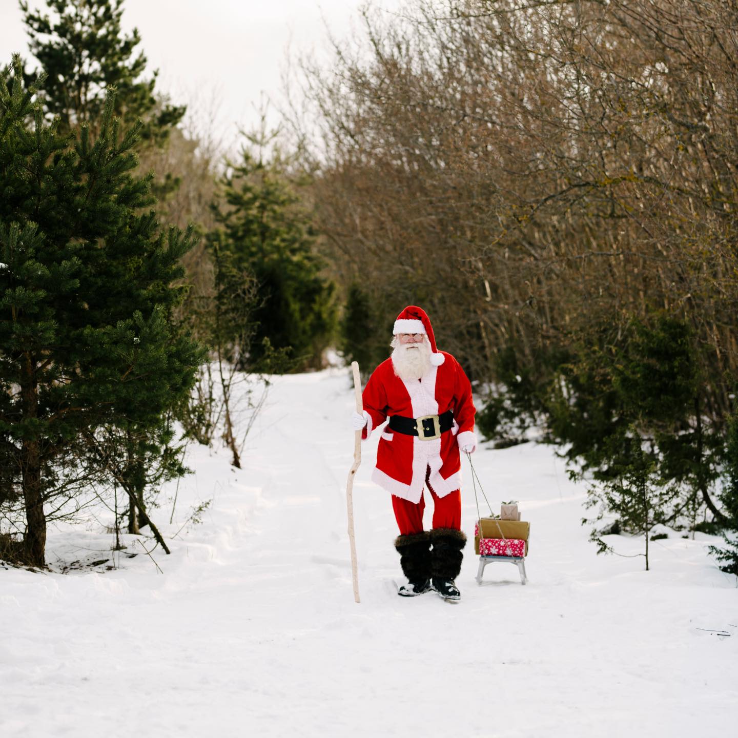 Navidad en la nieve