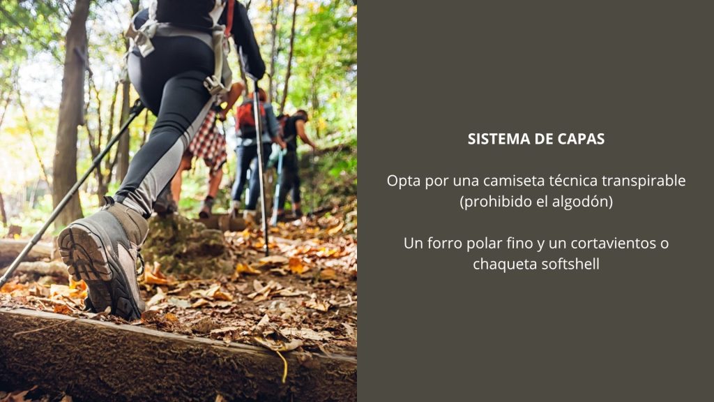 Sistema de capas